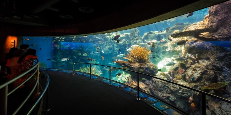 aquarium of the pacific los angeles